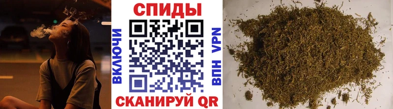 где можно купить блэк спрут ONION Бутират жидкий экстази Салехард