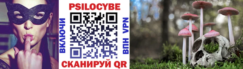 Галлюциногенные грибы мухоморы Салехард