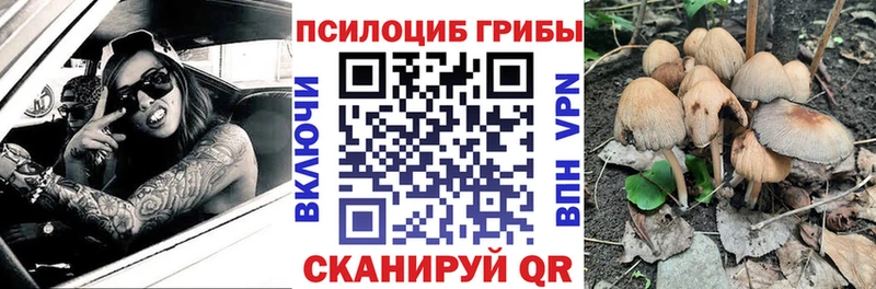 Галлюциногенные грибы прущие грибы  как найти закладки  Салехард 